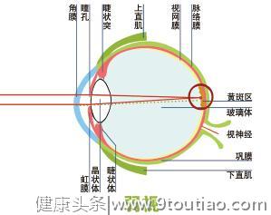 儿童常见的“四类”眼疾，容易致视力模糊