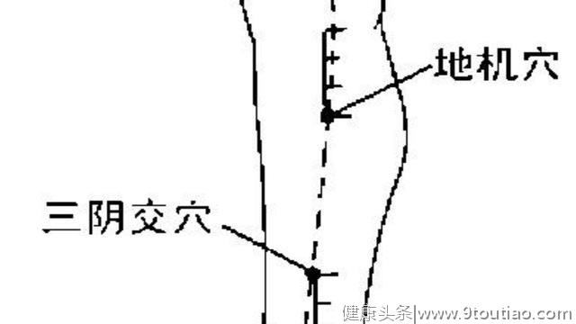 88个精选穴，一穴一用「图解」