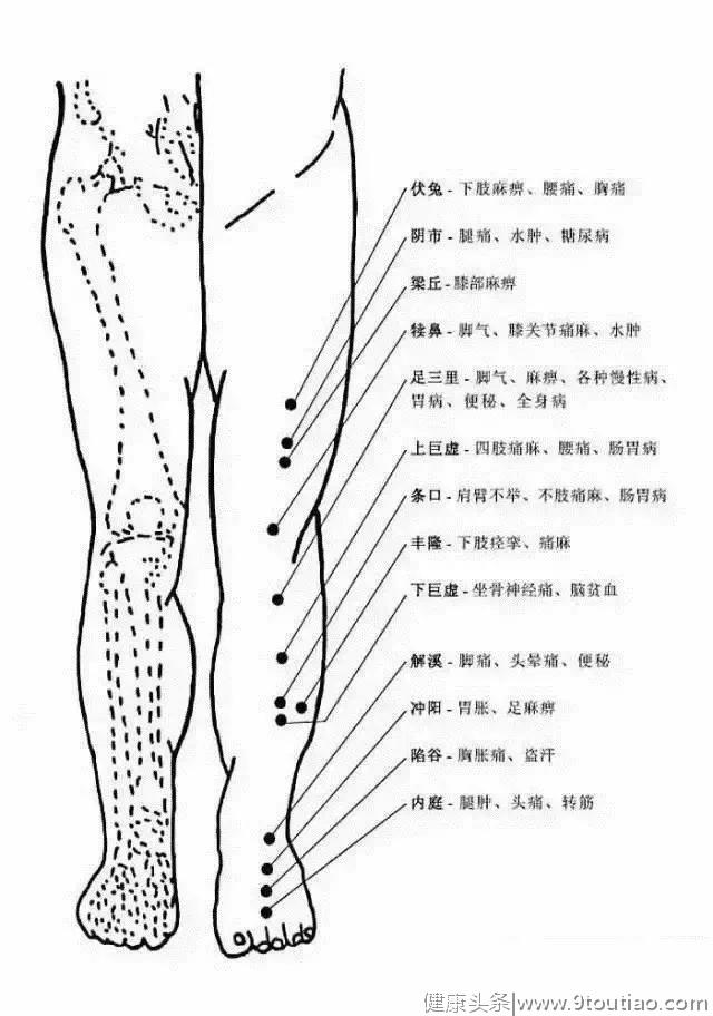 非常完整的人体穴位图与功效！收了吧！