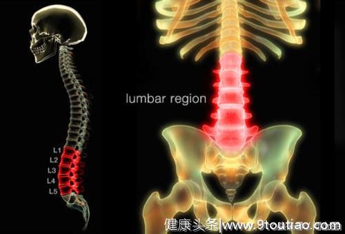 常见腰痛的原因及缓解方法