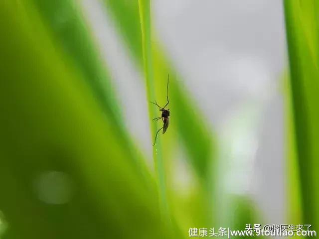 9种儿童皮肤病用药指南，家长收藏起来应急！