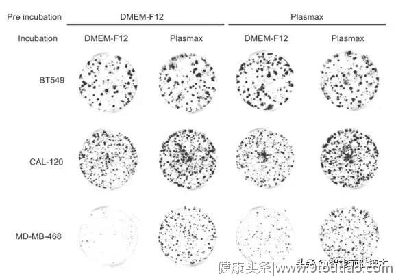 全世界癌症研究都用错了实验材料？这瓶液体可能耽误了科学家60年