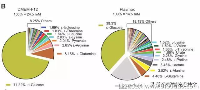 全世界癌症研究都用错了实验材料？这瓶液体可能耽误了科学家60年