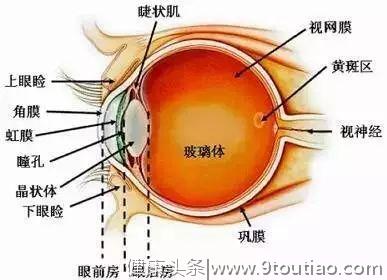 身体各器官的求救信号，满满的都是干货