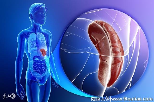 脂肪肝——引发六种疾病