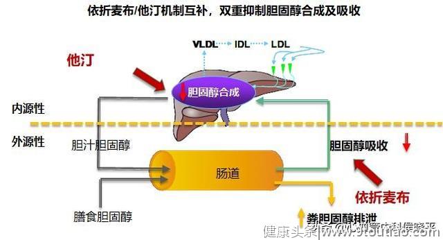 “更年期”女性血脂高了要降低，这些要点你要知道（男性通用）