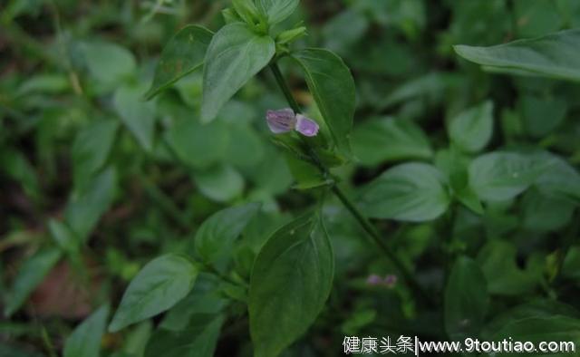 得了前列腺炎，不用太着急，多数人用这4个方法