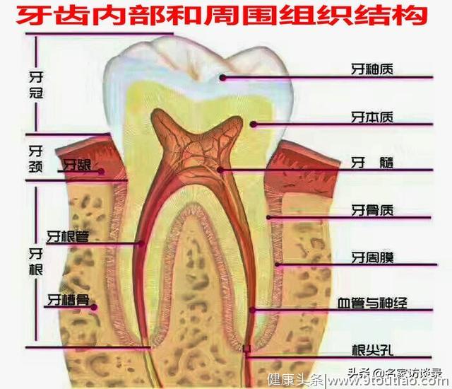 牙齿一生照顾不好，就会出问题？科普知识分享