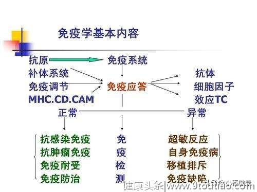 乙肝免疫状态变化和假性小三阳