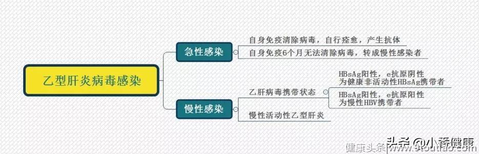 乙肝免疫状态变化和假性小三阳