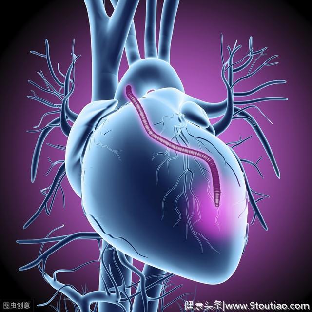 「心脏病讲解」解析心脏搭桥手术，看完恍然大悟