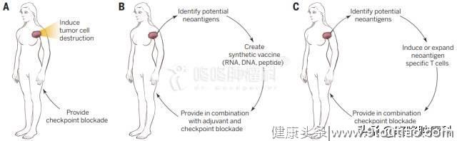 免疫治疗新前沿：具备治愈潜力的Neoantigen,个性化定制专属抗癌药