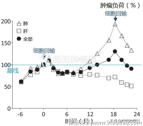 免疫治疗新前沿：具备治愈潜力的Neoantigen,个性化定制专属抗癌药