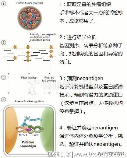 免疫治疗新前沿：具备治愈潜力的Neoantigen,个性化定制专属抗癌药