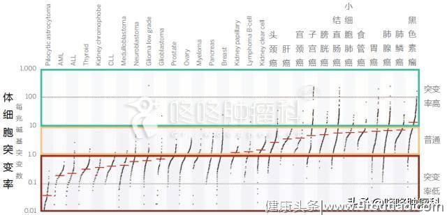 免疫治疗新前沿：具备治愈潜力的Neoantigen,个性化定制专属抗癌药