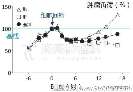 免疫治疗新前沿：具备治愈潜力的Neoantigen,个性化定制专属抗癌药