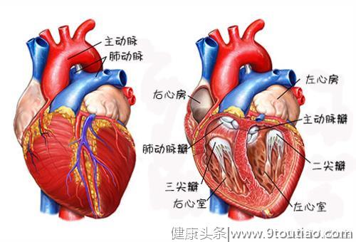 心脏病有多可怕？它对身体有什么影响？