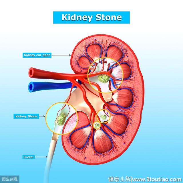 血液科常见疾病之儿童腹型过敏性紫癜