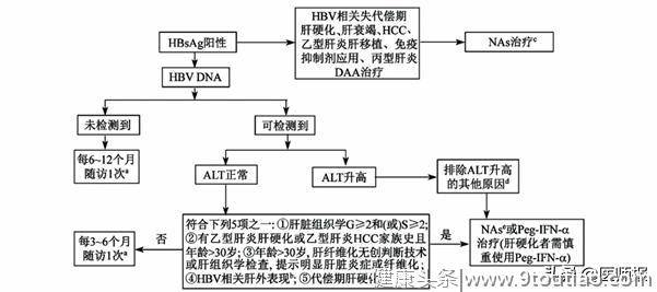 中国乙肝防治指南时隔4年再更新，解读乙肝的预防、诊断与治疗