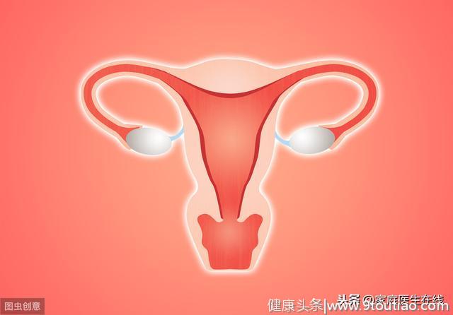 女性的子宫有哪些作用？子宫受损有哪些表现？