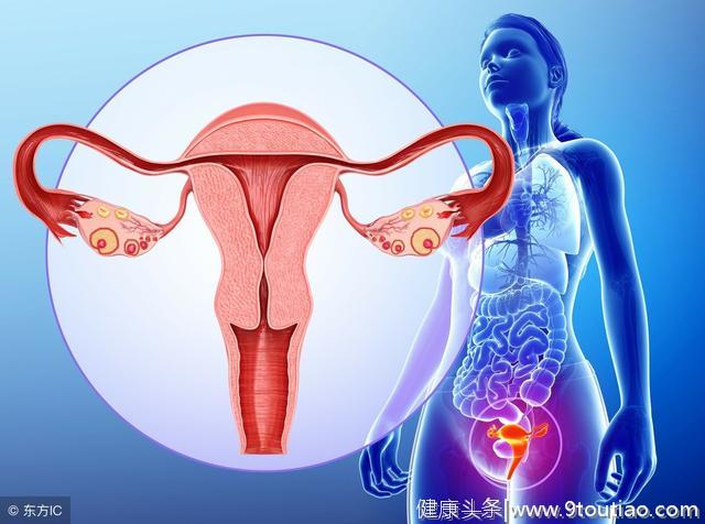 什么是子宫肌瘤？子宫肌瘤的症状