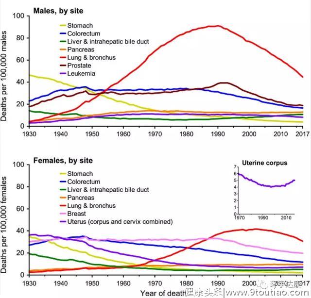 刚刚，美国2020年最新癌症统计数据出炉！这四点值得学习