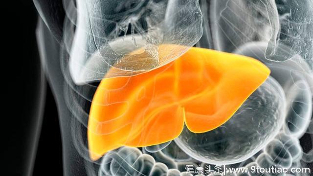 营养师提醒：脂肪肝病因多，追本溯源，才能真正消除脂肪肝