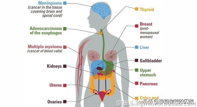 丹麦大型研究显示，超重和肥胖与癌症风险增高有关