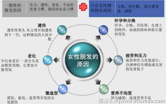 终于找到脱发元凶了！医生提醒：不知道4个原因，治疗也是白花钱