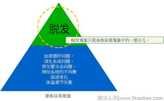 终于找到脱发元凶了！医生提醒：不知道4个原因，治疗也是白花钱