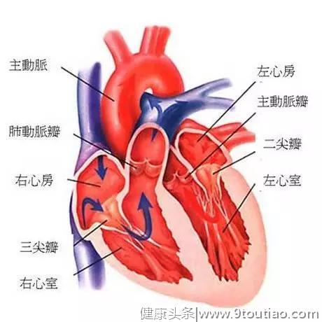 你真的得了心脏病吗？带你形象解读心脏病