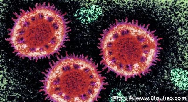 武汉不明原因肺炎判定为新型冠状病毒！这 6 个问题你应该知道