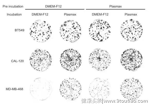 癌症研究实验结果不一致，因为科学家都用错了培养基