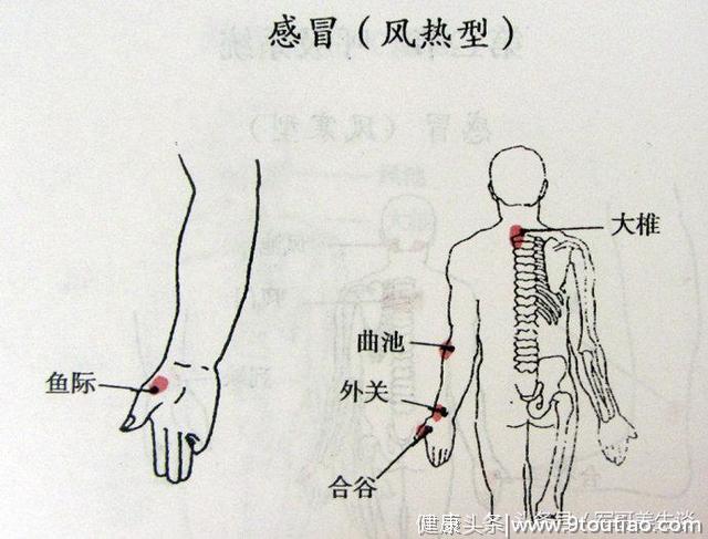 治肩周炎中医秘方与食疗方法 有了这个方法再也不担心了