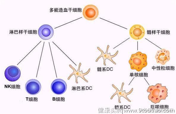 人类攻克癌症又进一步，FDA批准治疗癌症新药