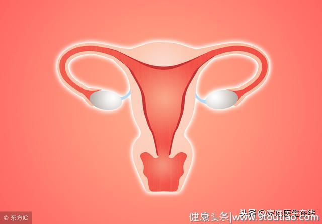 如何保养子宫健康？三件事，女性要放在心上