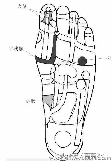 神奇的中医小秘方，原来可以调大病