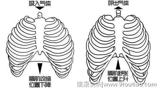 腹式呼吸好处多，想要把它做到位，还看这个秘诀