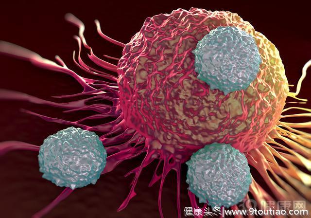 癌细胞与正常细胞有4大不同，弄明白原理，对消灭癌症有帮助吗？