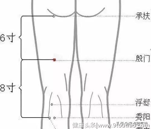 欲驱体内的毒素，这条经须畅通无阻，身体内部属于自己的排毒系统