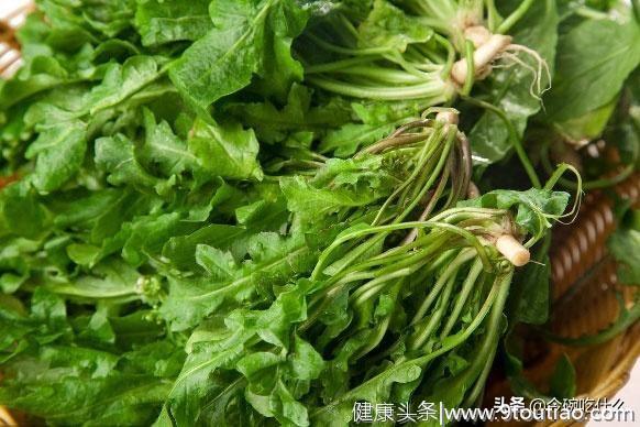 荠菜怎么吃？5个经典小食谱，让你享尽春滋味