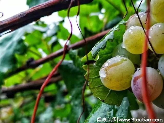 【雨水】养生三要点：养阳、春捂、护脾胃！一定要做到这些！！！