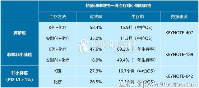 12个抗癌药列入“急需名单”, 首批PD-1抗体K药到中国！