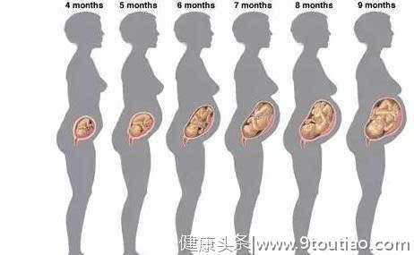 3张图告诉你：从刚怀孕到足月，孕妈和胎宝会有啥变化