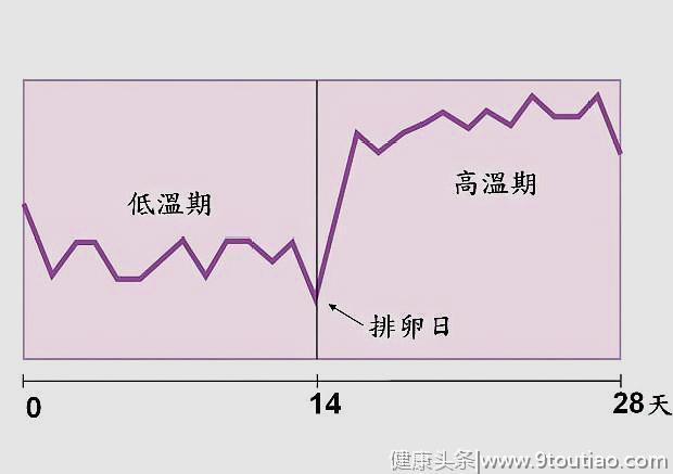 备孕三个月，成功怀孕，分享4条经验，备孕的你可以试一试