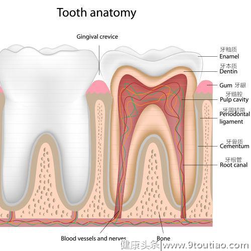 5岁孩子10个里6个有龋齿，宝宝牙齿健康很重要，医生教你5招预防