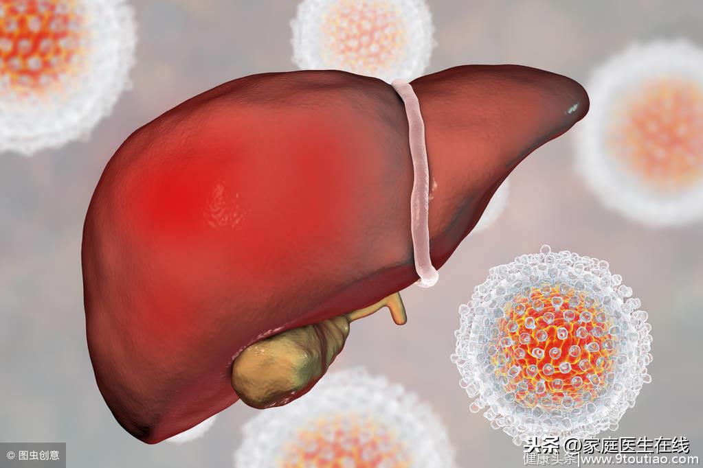肝脏有哪些功能？肝病造成的危害大吗？文章一一解答