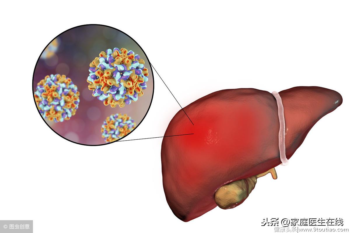 肝脏有哪些功能？肝病造成的危害大吗？文章一一解答