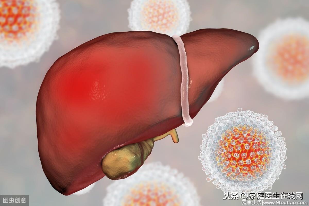 甲肝是如何传染的？这些途径，都容易让你的肝脏“染毒”