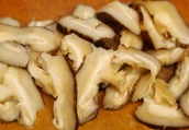 冬菇和香菇的食疗功效